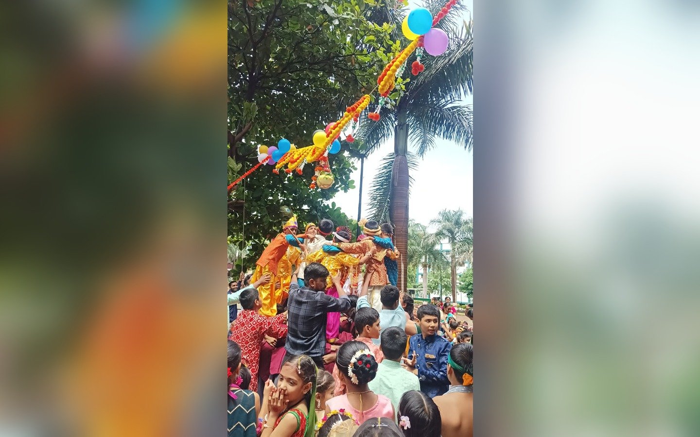 Activity image